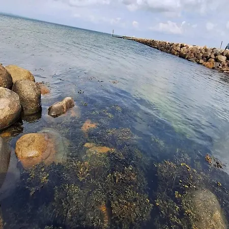 8 Person On A In Διαμέρισμα Bogense