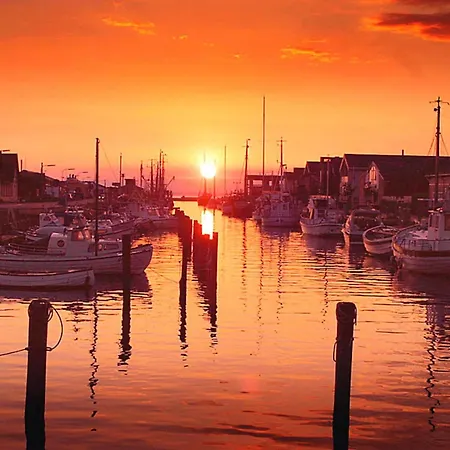 8 Person On A In * Bogense