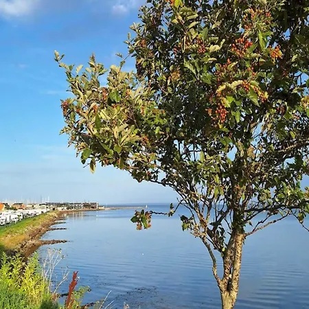 8 Person On A In * Bogense