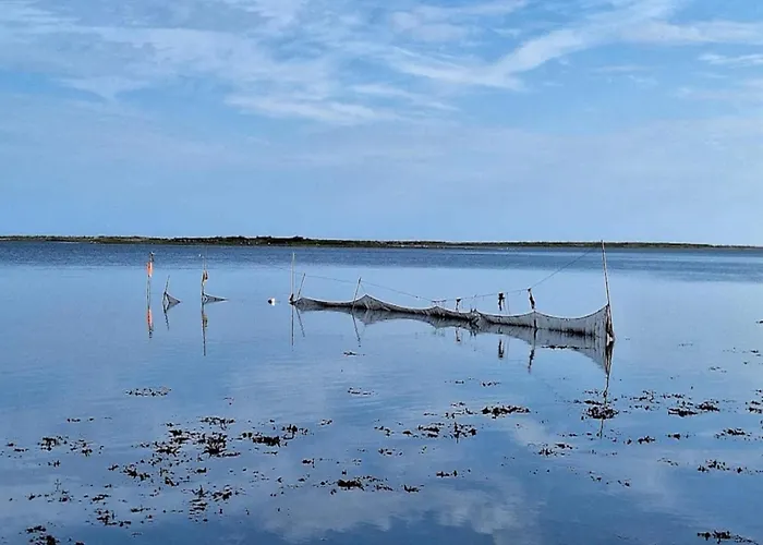 8 Person On A In Apartamento *