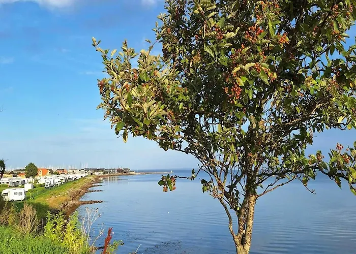 8 Person On A In * Bogense