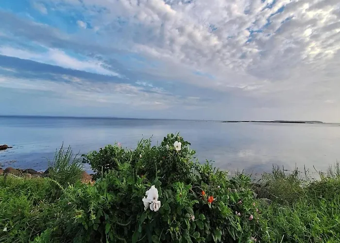 8 Person On A In Apartamento