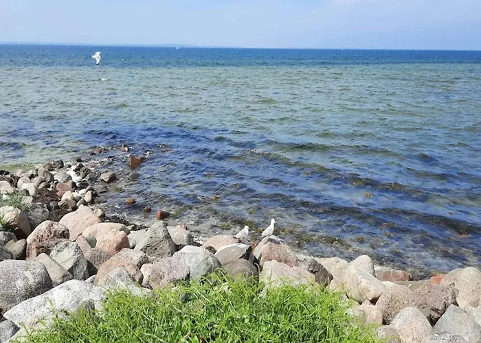 Apartamento 8 Person On A In Bogense